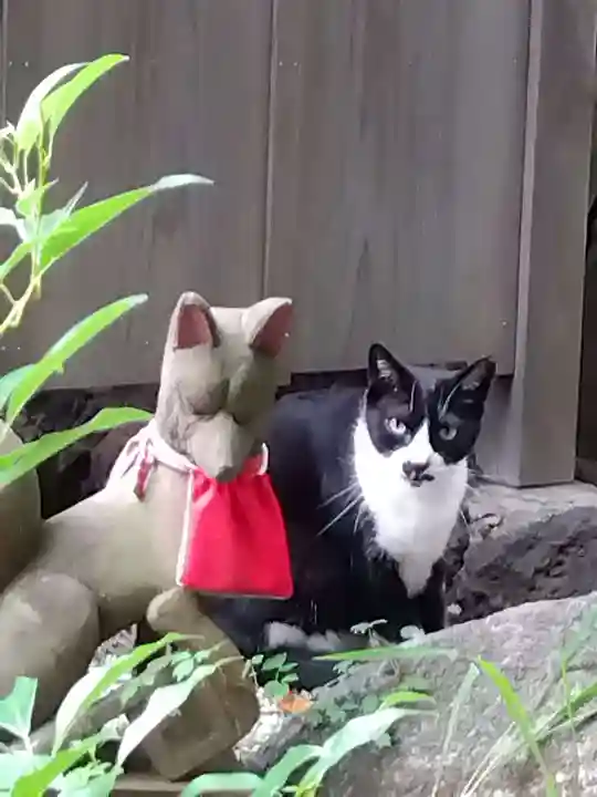 澤蔵司稲荷(慈眼院)(東京都)