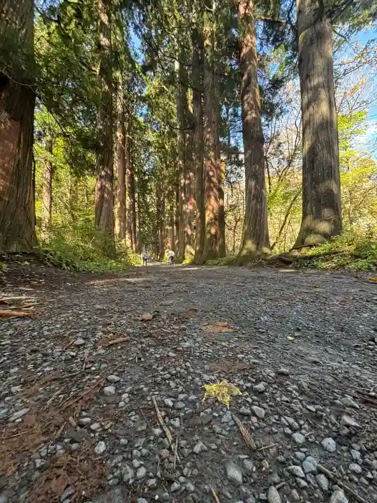 戸隠神社奥社(長野県)