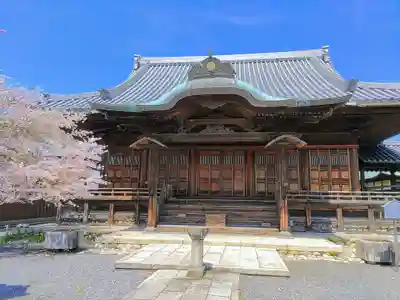 曼陀羅寺の本殿・本堂