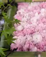 立志神社(滋賀県)