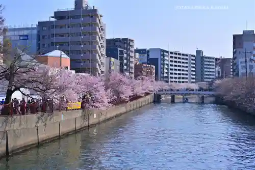 子神社(神奈川県)