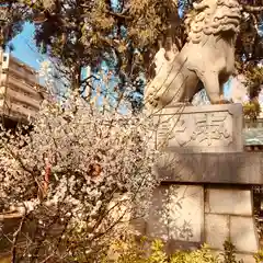 下神明天祖神社の狛犬