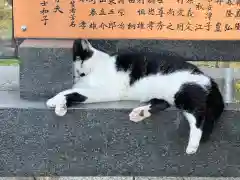 王子神社(徳島県)