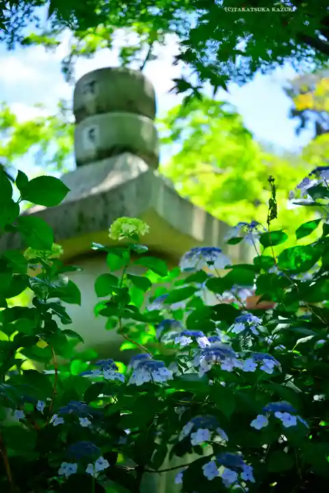 高幡不動尊 金剛寺(東京都)