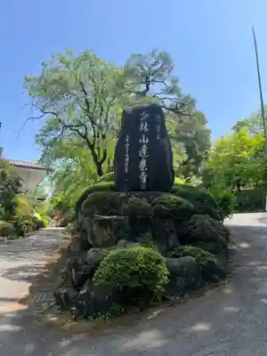 達磨寺(群馬県)