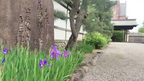 大聖寺門跡の庭園
