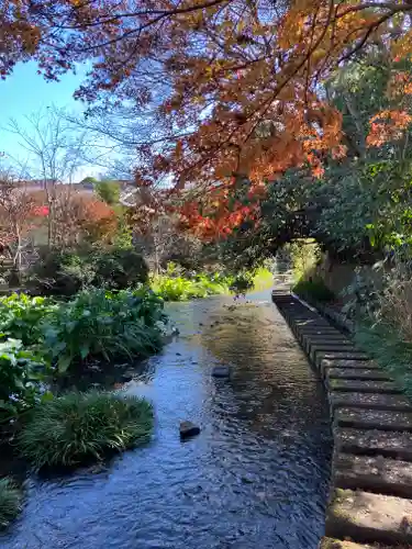 三嶋大社(静岡県)