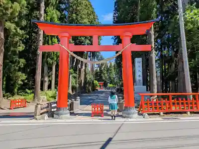 櫛引八幡宮の鳥居