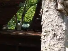 妻科神社(長野県)