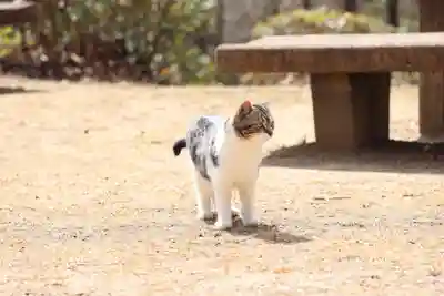 玉野御嶽神社(愛知県)