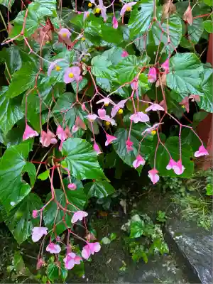 貴船神社(京都府)