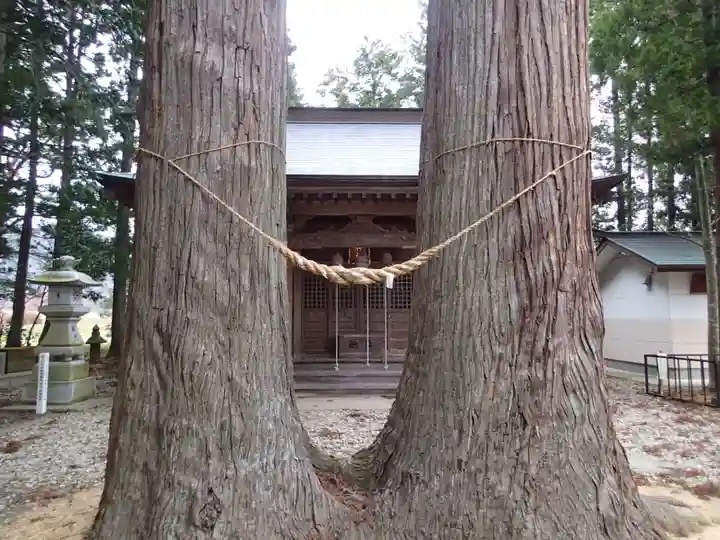 八雲神社・境内飯豊和気神社遥拝殿の自然