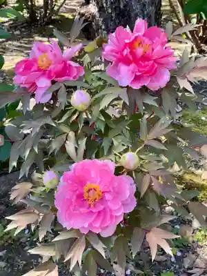 六孫王神社(京都府)