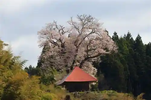 十一面観音堂の景色