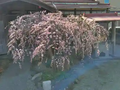 妙法寺（山崎）(神奈川県)