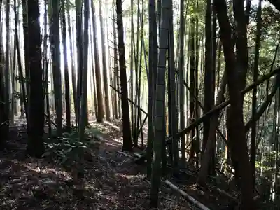 皇産靈神社の周辺
