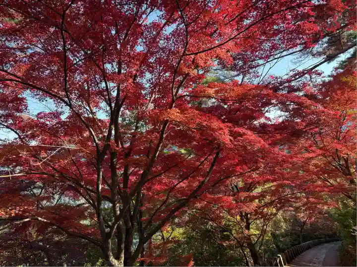 金峯山寺の自然
