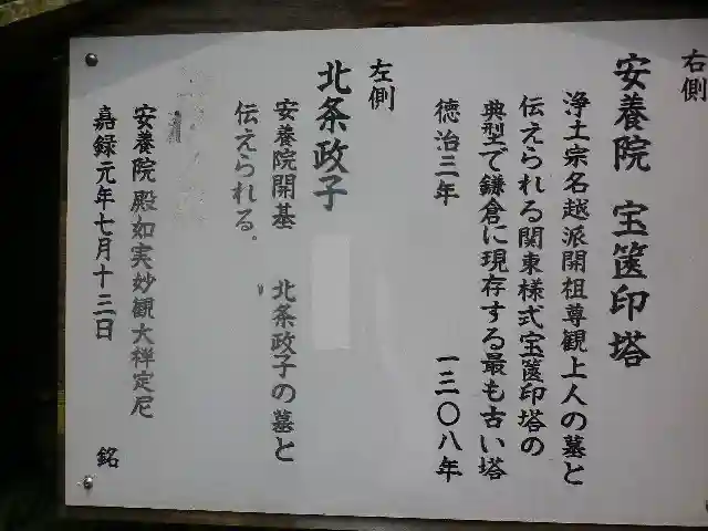 安養院 (田代寺)の歴史