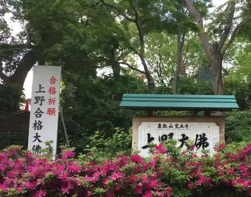 上野大佛のその他建物