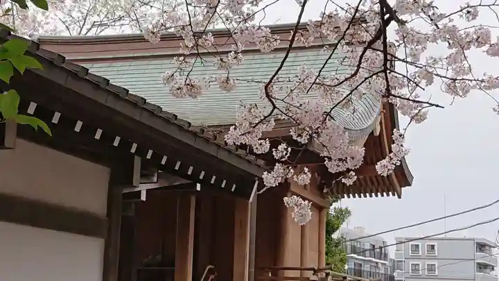 中村八幡宮の本殿・本堂