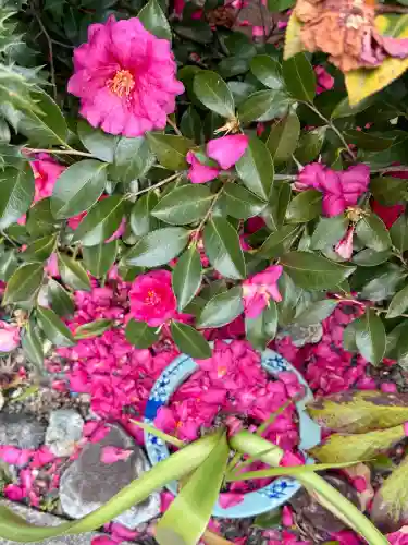 大蓮寺の{uncategorized: "未分類", other: "その他", undefined: "問題あり", building: "その他建物", grave: "お墓", sacred_gate: "鳥居", guardian: "狛犬", statue: "像", buddha: "仏像", history: "歴史", nature: "自然", garden: "庭園", animal: "動物", pagoda: "塔", temizu: "手水舎", mountain_gate: "山門・神門", sanctuary: "本殿・本堂", subordinate: "末社・摂社", art: "芸術", scenery: "景色", jizo: "地蔵", ema: "絵馬", goshuin: "御朱印", omikuji: "おみくじ", items: "授与品その他", amulet: "お守り", goshuincho: "御朱印帳", eats: "食事", festival: "お祭り", votive_dance: "神楽", shichigosan: "七五三参", wedding: "結婚式", experience: "体験その他", initially: "初詣", around: "周辺", anti_infection: "感染症対策"}