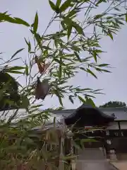 貴船神社(岡山県)