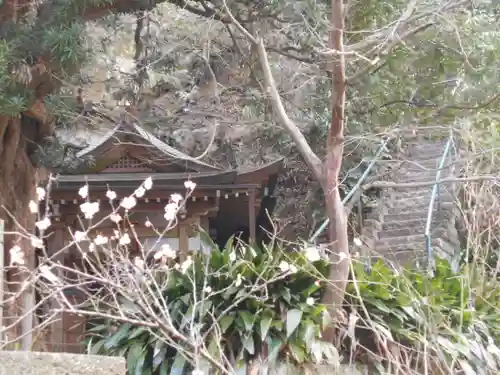 安國論寺（安国論寺）の自然