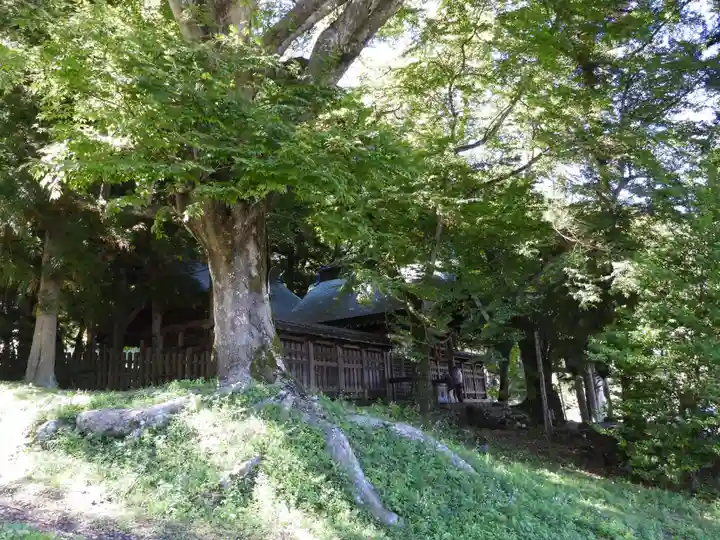 諏訪大社上社前宮(長野県)