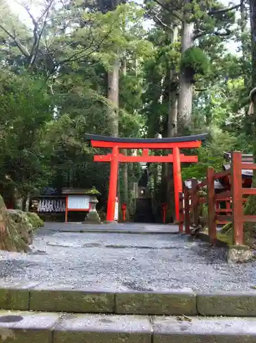 箱根神社の鳥居