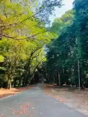 日枝神社の自然