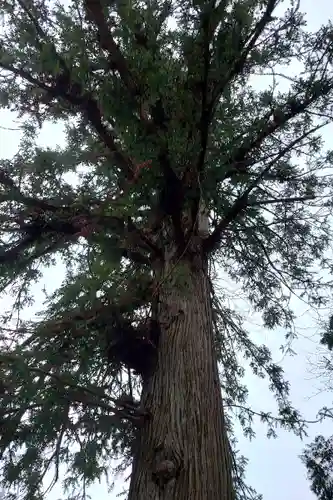 晴暗寺(愛知県)