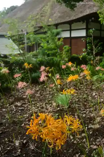 横浜　西方寺(神奈川県)
