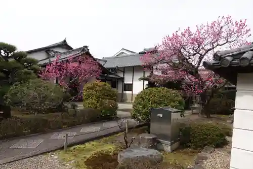 法華寺の庭園