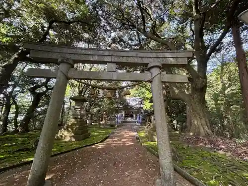 日本唯一香辛料の神　波自加彌神社の{uncategorized: "未分類", other: "その他", undefined: "問題あり", building: "その他建物", grave: "お墓", sacred_gate: "鳥居", guardian: "狛犬", statue: "像", buddha: "仏像", history: "歴史", nature: "自然", garden: "庭園", animal: "動物", pagoda: "塔", temizu: "手水舎", mountain_gate: "山門・神門", sanctuary: "本殿・本堂", subordinate: "末社・摂社", art: "芸術", scenery: "景色", jizo: "地蔵", ema: "絵馬", goshuin: "御朱印", omikuji: "おみくじ", items: "授与品その他", amulet: "お守り", goshuincho: "御朱印帳", eats: "食事", festival: "お祭り", votive_dance: "神楽", shichigosan: "七五三参", wedding: "結婚式", experience: "体験その他", initially: "初詣", around: "周辺", anti_infection: "感染症対策"}