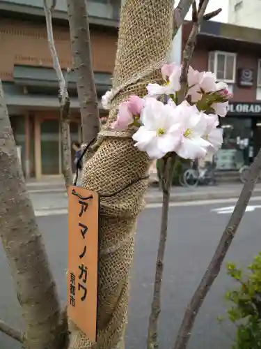 晴明神社(京都府)