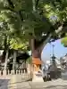 大依羅神社(大阪府)