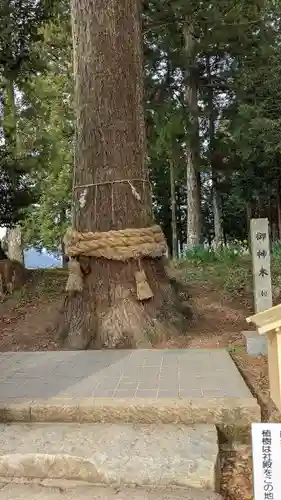 徳佐八幡宮(山口県)