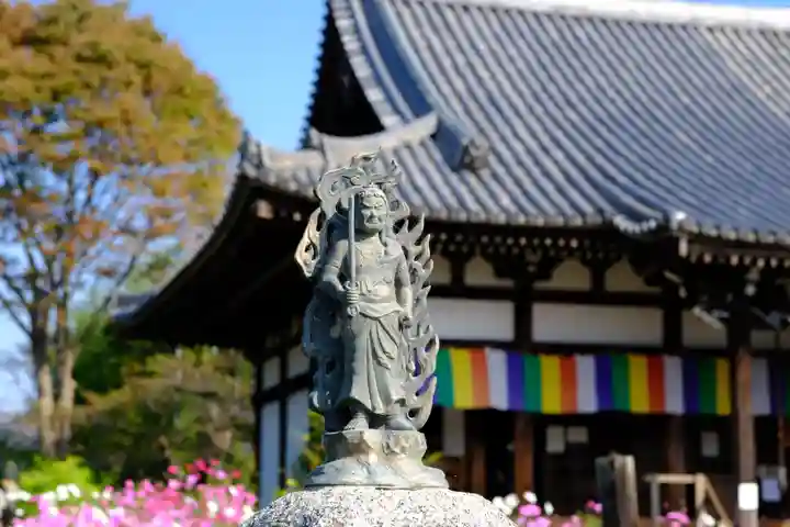 般若寺 ❁コスモス寺❁(奈良県)
