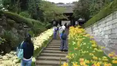 横浜　西方寺の建物その他