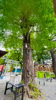 草加神社(埼玉県)