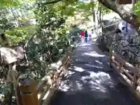 宝泉院(京都府)