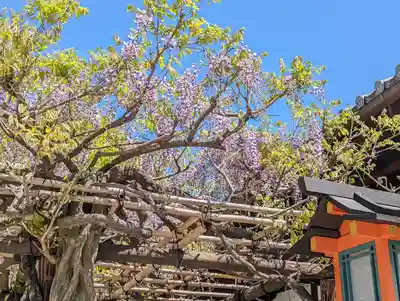 西院春日神社(京都府)