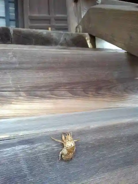 即清寺の本殿・本堂