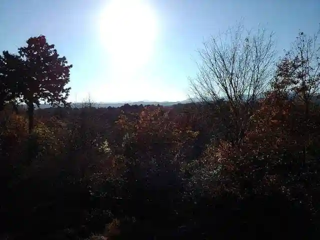 塩船観音寺の景色