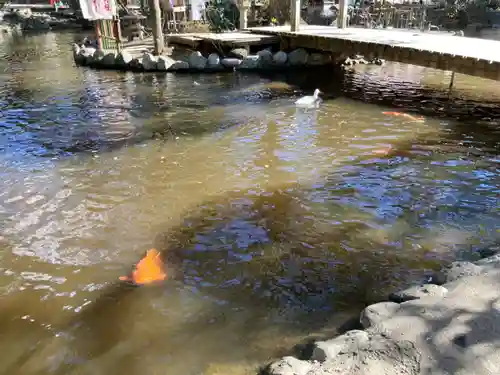 平塚八幡宮の庭園