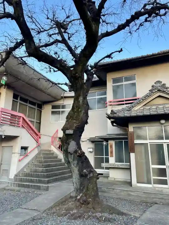 熊野神社の{uncategorized: "未分類", other: "その他", undefined: "問題あり", building: "その他建物", grave: "お墓", sacred_gate: "鳥居", guardian: "狛犬", statue: "像", buddha: "仏像", history: "歴史", nature: "自然", garden: "庭園", animal: "動物", pagoda: "塔", temizu: "手水舎", mountain_gate: "山門・神門", sanctuary: "本殿・本堂", subordinate: "末社・摂社", art: "芸術", scenery: "景色", jizo: "地蔵", ema: "絵馬", goshuin: "御朱印", omikuji: "おみくじ", items: "授与品その他", amulet: "お守り", goshuincho: "御朱印帳", eats: "食事", festival: "お祭り", votive_dance: "神楽", shichigosan: "七五三参", wedding: "結婚式", experience: "体験その他", initially: "初詣", around: "周辺", anti_infection: "感染症対策"}