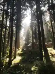 御岩神社の自然