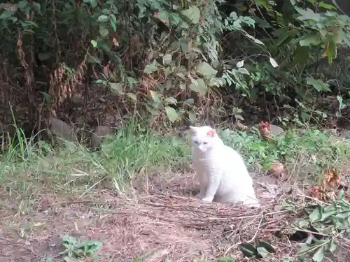 久國神社(東京都)