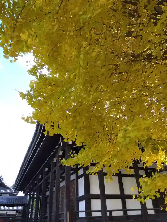 本法寺(京都府)