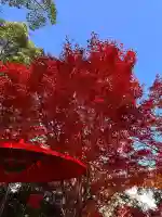 神戸水天宮(兵庫県)